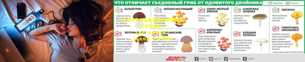 шишки Алексеевка