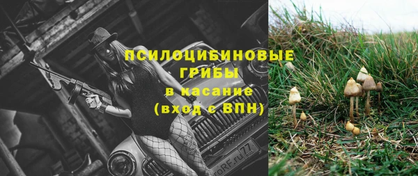 шишки Алексеевка