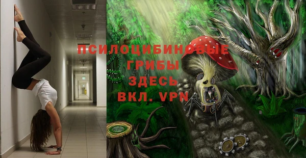 бошки Алексин